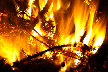 Similar image 1334464