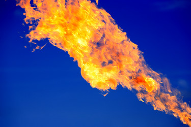 Similar image 1334534