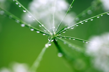 Similar image 1334536