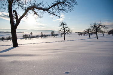 Similar image 1334541