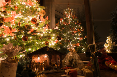 Similar image 1334548