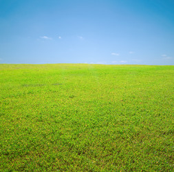 Similar image 1334612