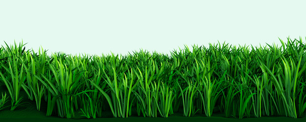 Similar image 1334616