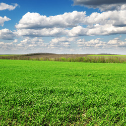 Similar image 1334832