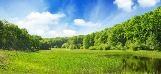 Similar image 1334836