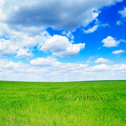 Similar image 1334841