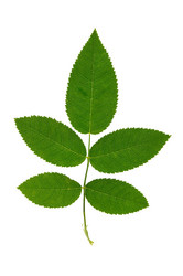 Similar image 1334842