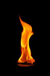 Similar image 1334843