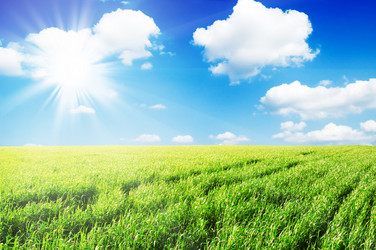 Similar image 1334849