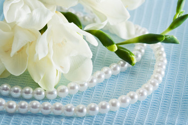 Similar image 1334860