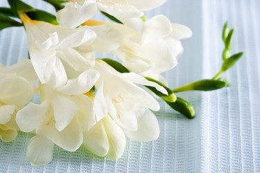 Similar image 1334861