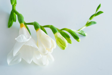 Similar image 1334863