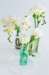 Similar image 1334865