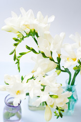 Similar image 1334866