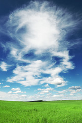 Similar image 1334878