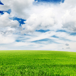 Similar image 1334888