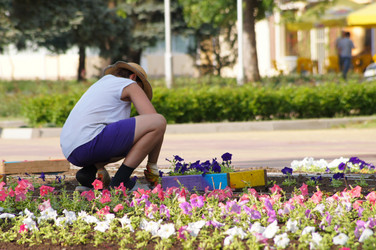 Similar image 1334892