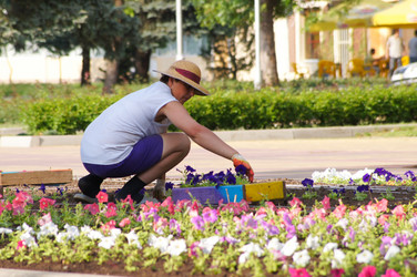 Similar image 1334893