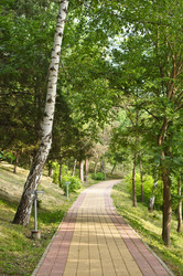 Similar image 1334896