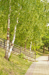 Similar image 1334897