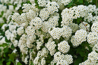 Similar image 1334900