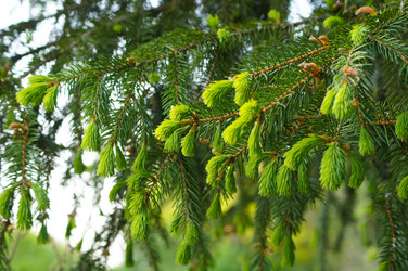 Similar image 1334904