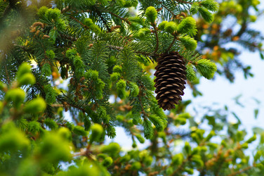 Similar image 1334905