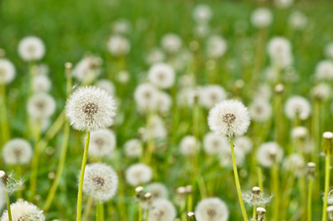 Similar image 1334906