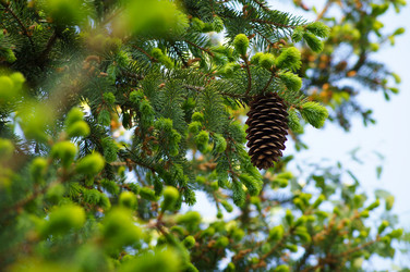 Similar image 1334907