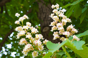 Similar image 1334908