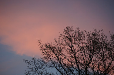 Similar image 1334910