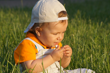 Similar image 1334911