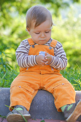 Similar image 1334912