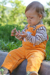 Similar image 1334921