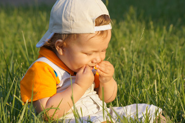 Similar image 1334922