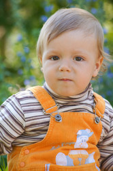 Similar image 1334926