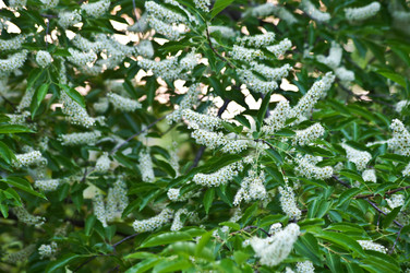 Similar image 1334931