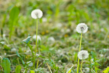 Similar image 1334934