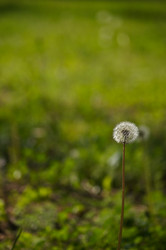 Similar image 1334940