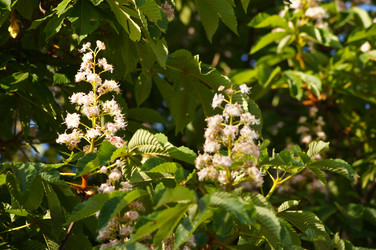 Similar image 1334941