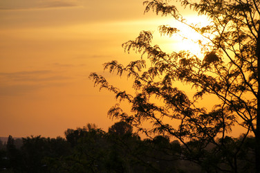 Similar image 1334944