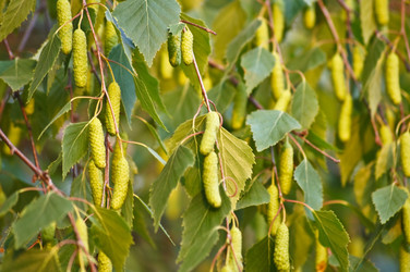 Similar image 1334945