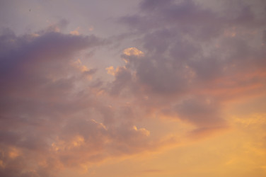 Similar image 1334946