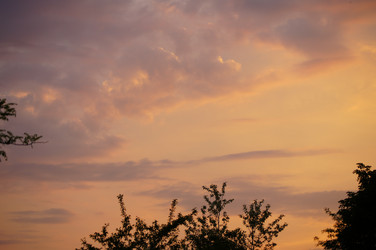 Similar image 1334947