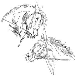 Similar image 1335052