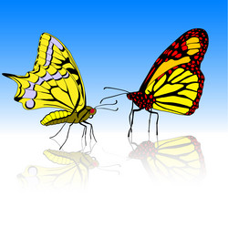 Similar image 1335064