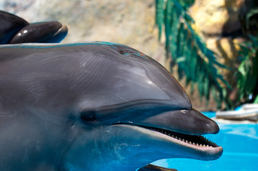 Similar image 1335156