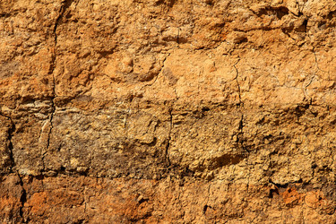 Similar image 1335160