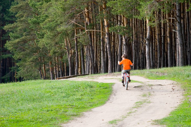 Similar image 1336667