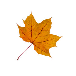 Similar image 1336679